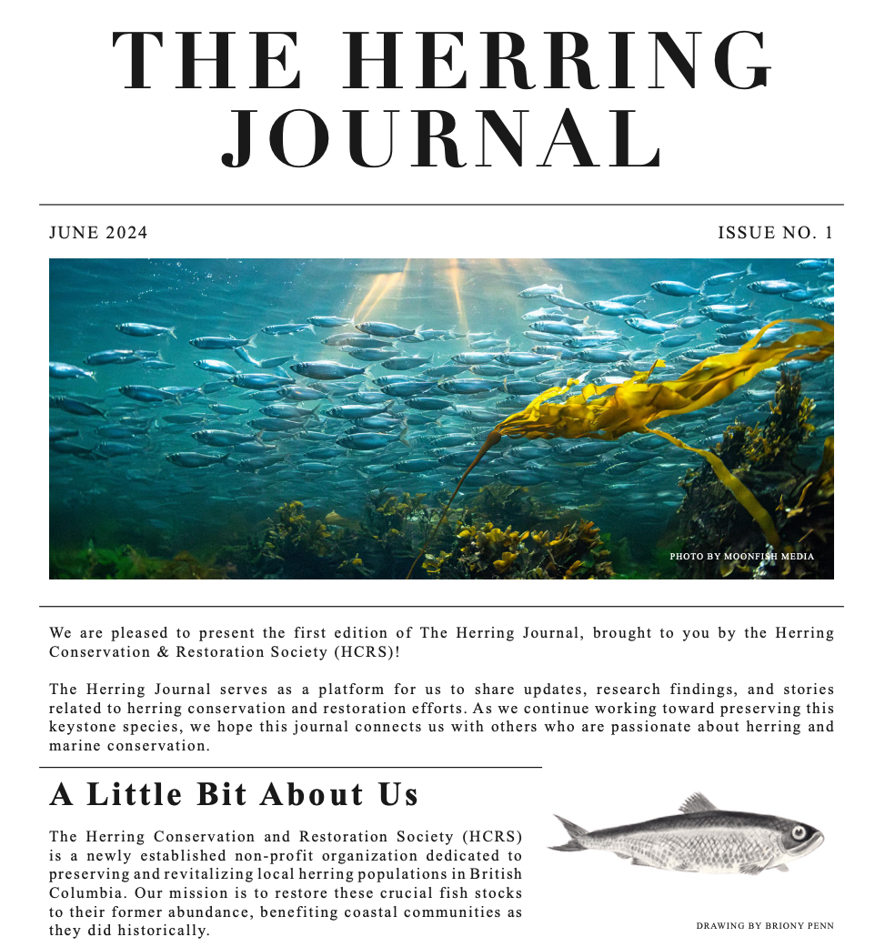 the herring journal newsletter cover